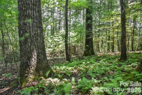 19 Laurel Loop Road Fairview NC 28730