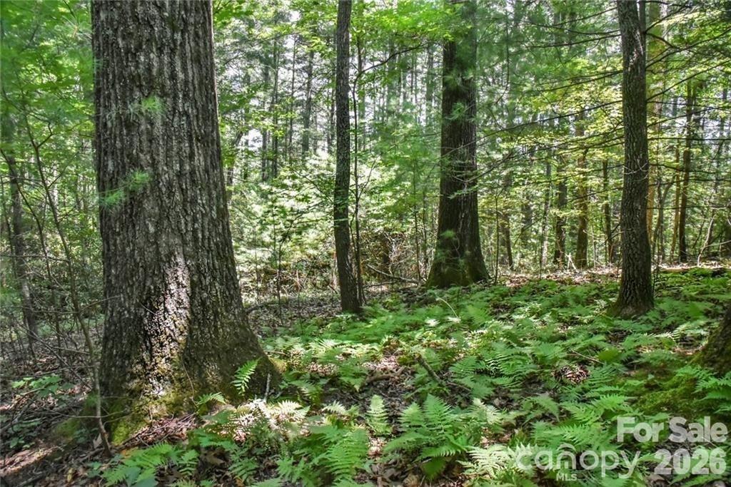 19 Laurel Loop Road Fairview NC 28730