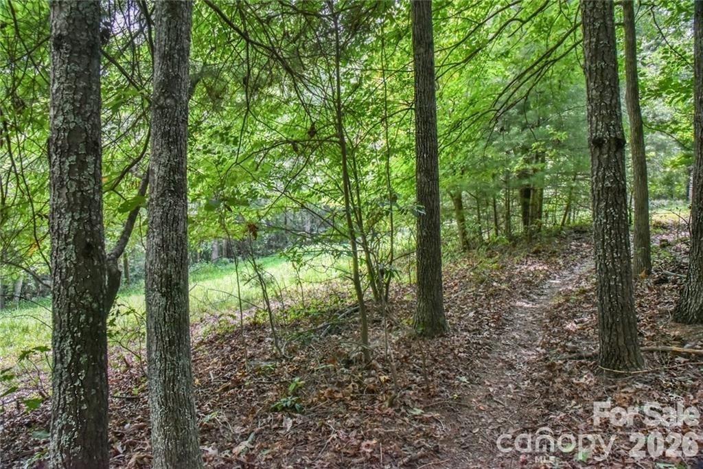 19 Laurel Loop Road Fairview NC 28730