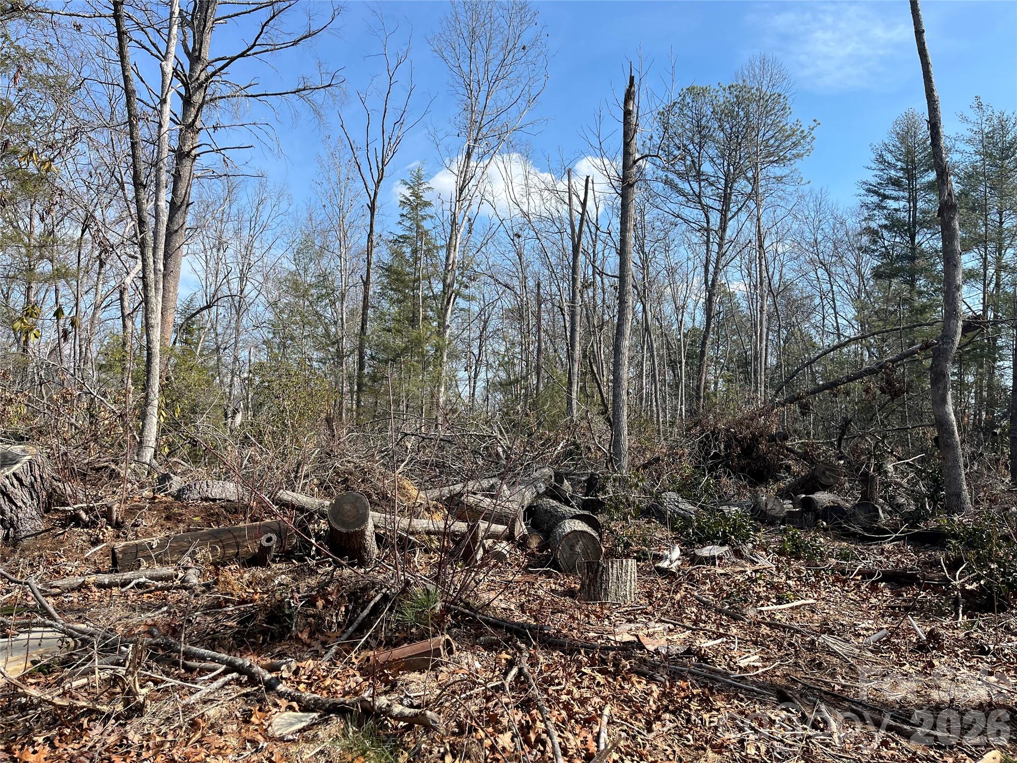 19 Laurel Loop Road Fairview NC 28730
