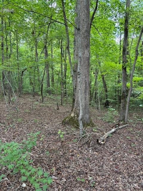 00 Timber Road Iron Station NC 28080