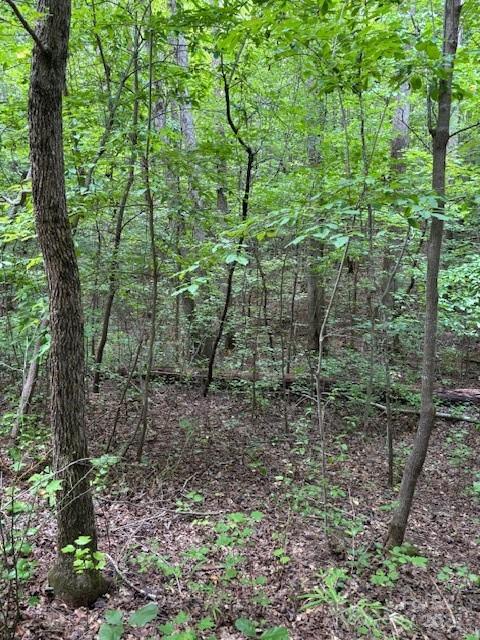00 Timber Road Iron Station NC 28080