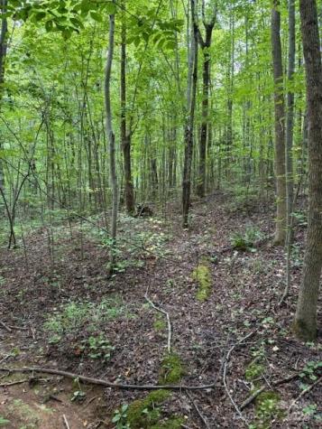 00 Timber Road Iron Station NC 28080