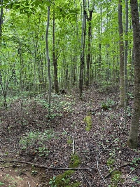 00 Timber Road Iron Station NC 28080