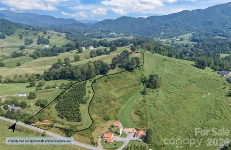 00000 Buck Ridge Road Waynesville NC 28785
