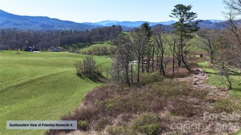 00000 Buck Ridge Road Waynesville NC 28785