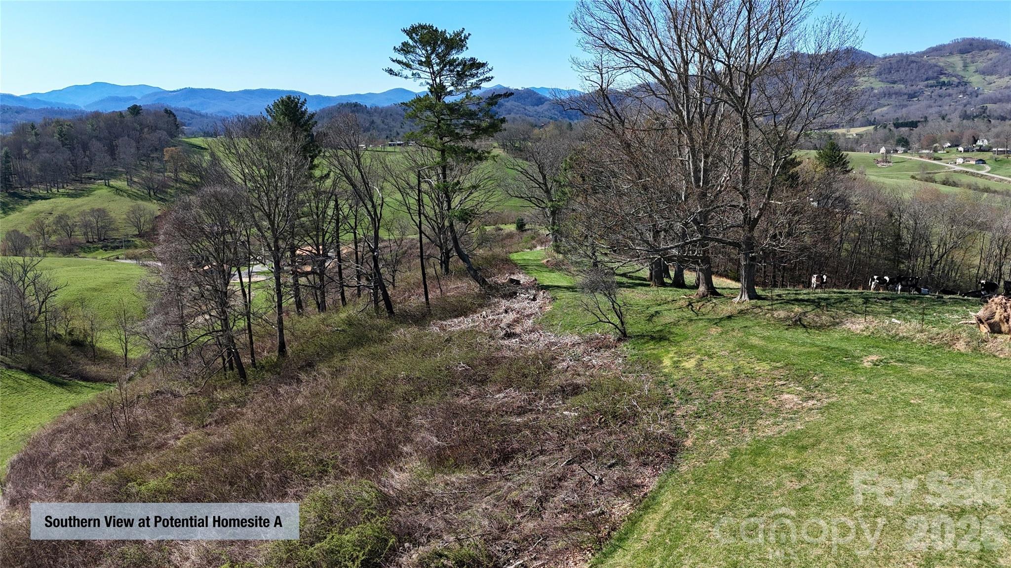 00000 Buck Ridge Road Waynesville NC 28785