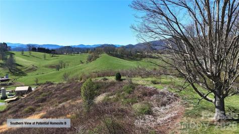 00000 Buck Ridge Road Waynesville NC 28785