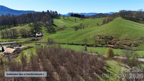 00000 Buck Ridge Road Waynesville NC 28785