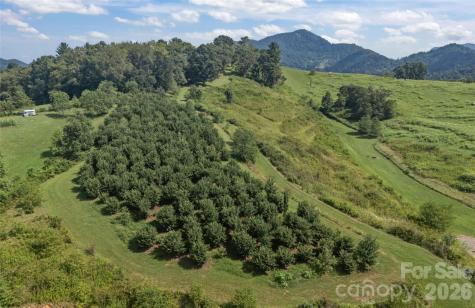 00000 Buck Ridge Road Waynesville NC 28785