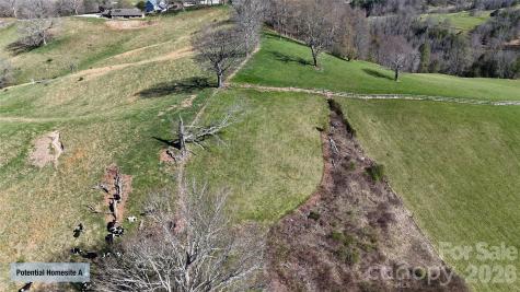 00000 Buck Ridge Road Waynesville NC 28785