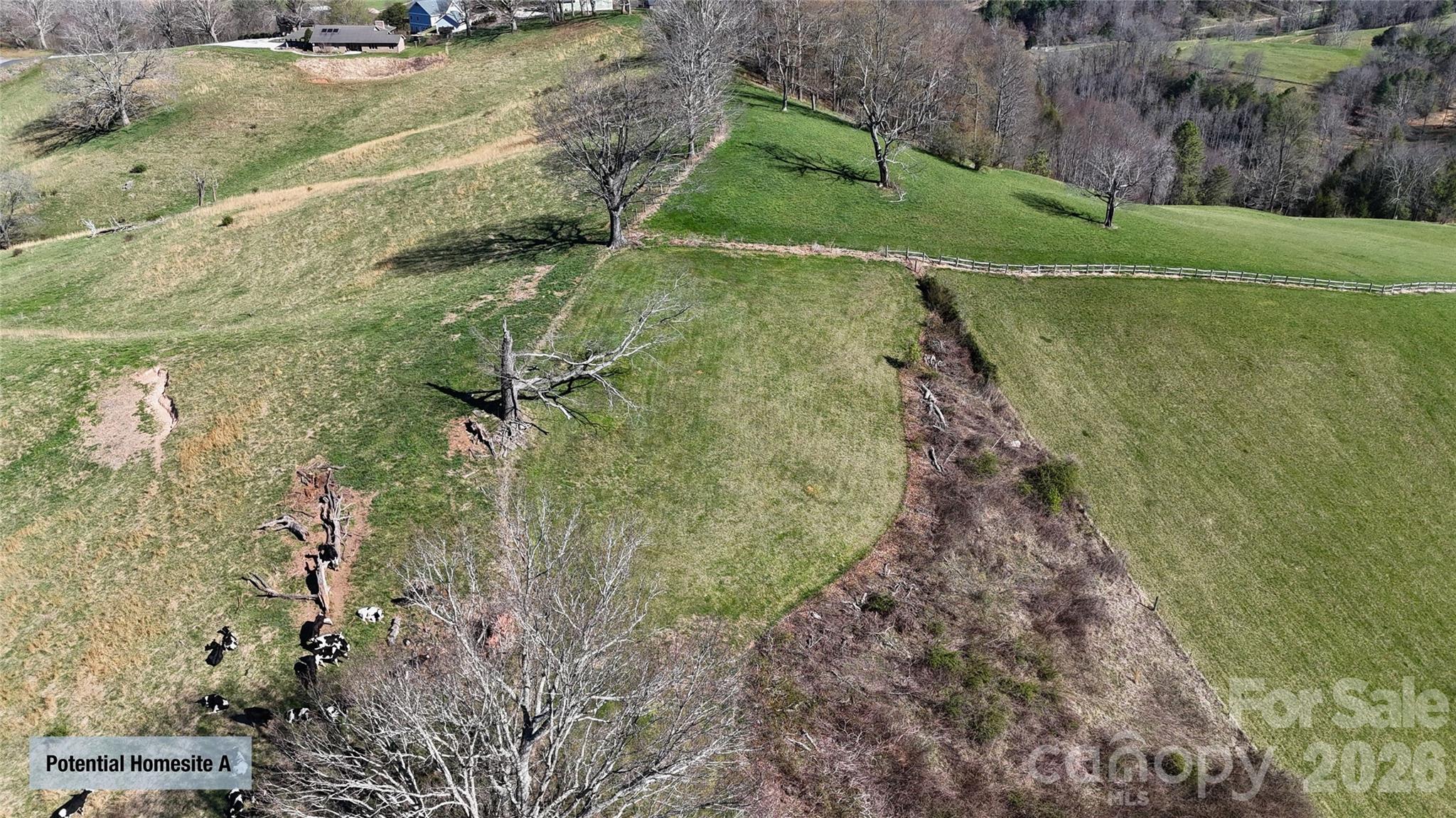 00000 Buck Ridge Road Waynesville NC 28785