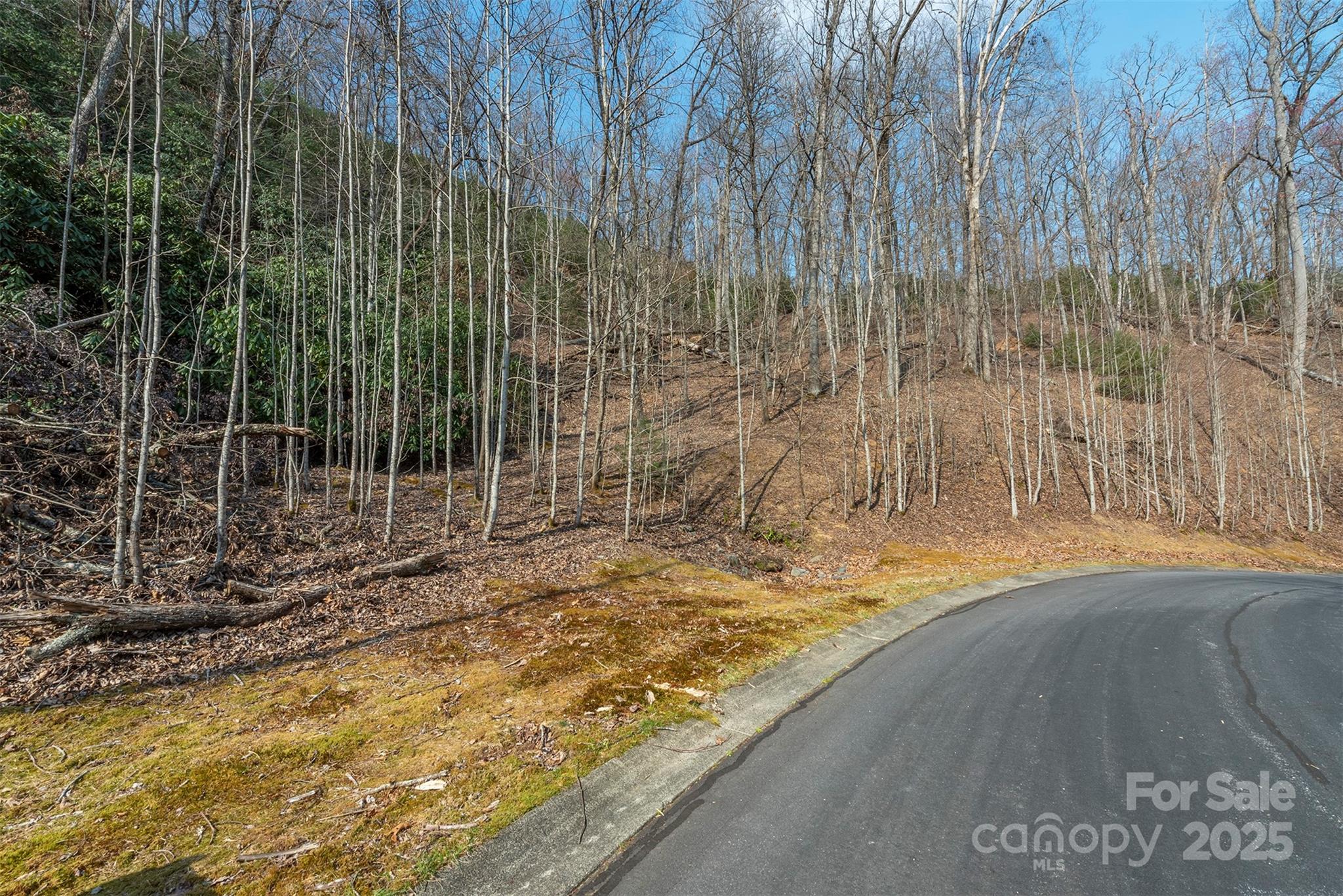 0 Shining Rock Path Horse Shoe NC 28742