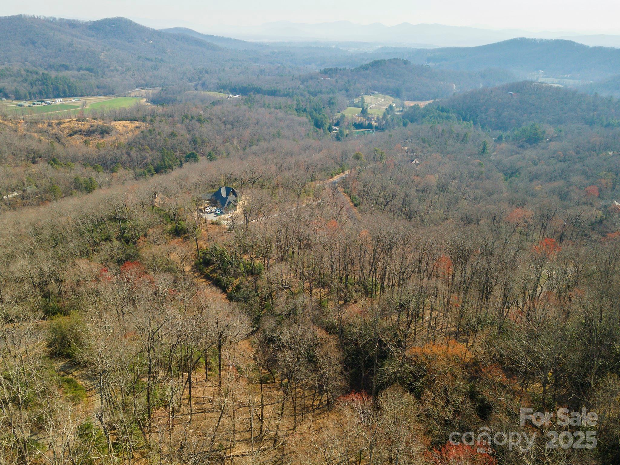0 Shining Rock Path Horse Shoe NC 28742