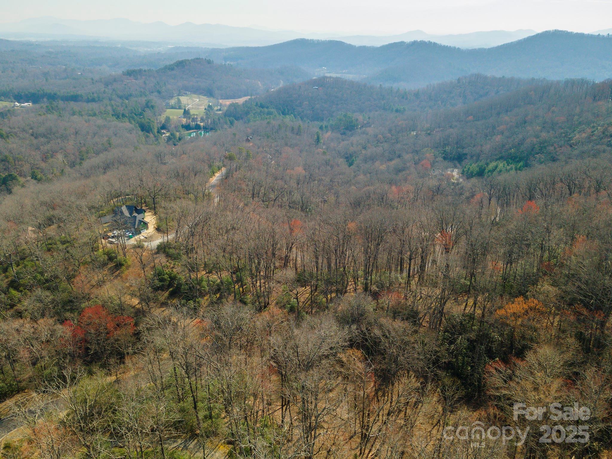 0 Shining Rock Path Horse Shoe NC 28742