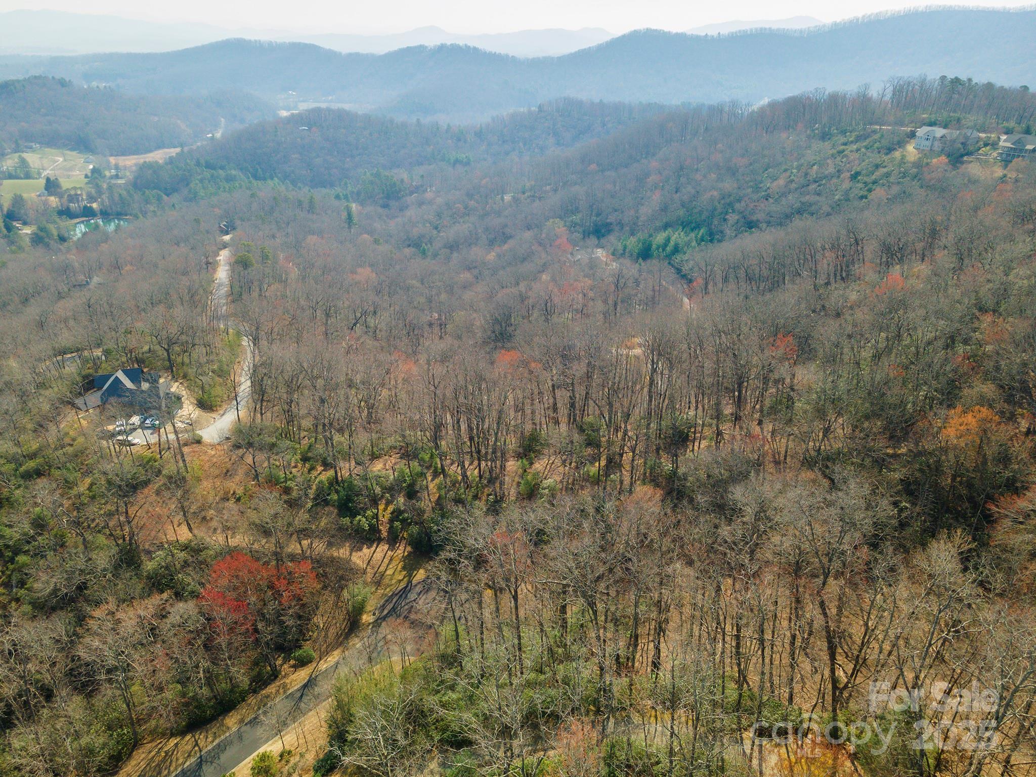 0 Shining Rock Path Horse Shoe NC 28742