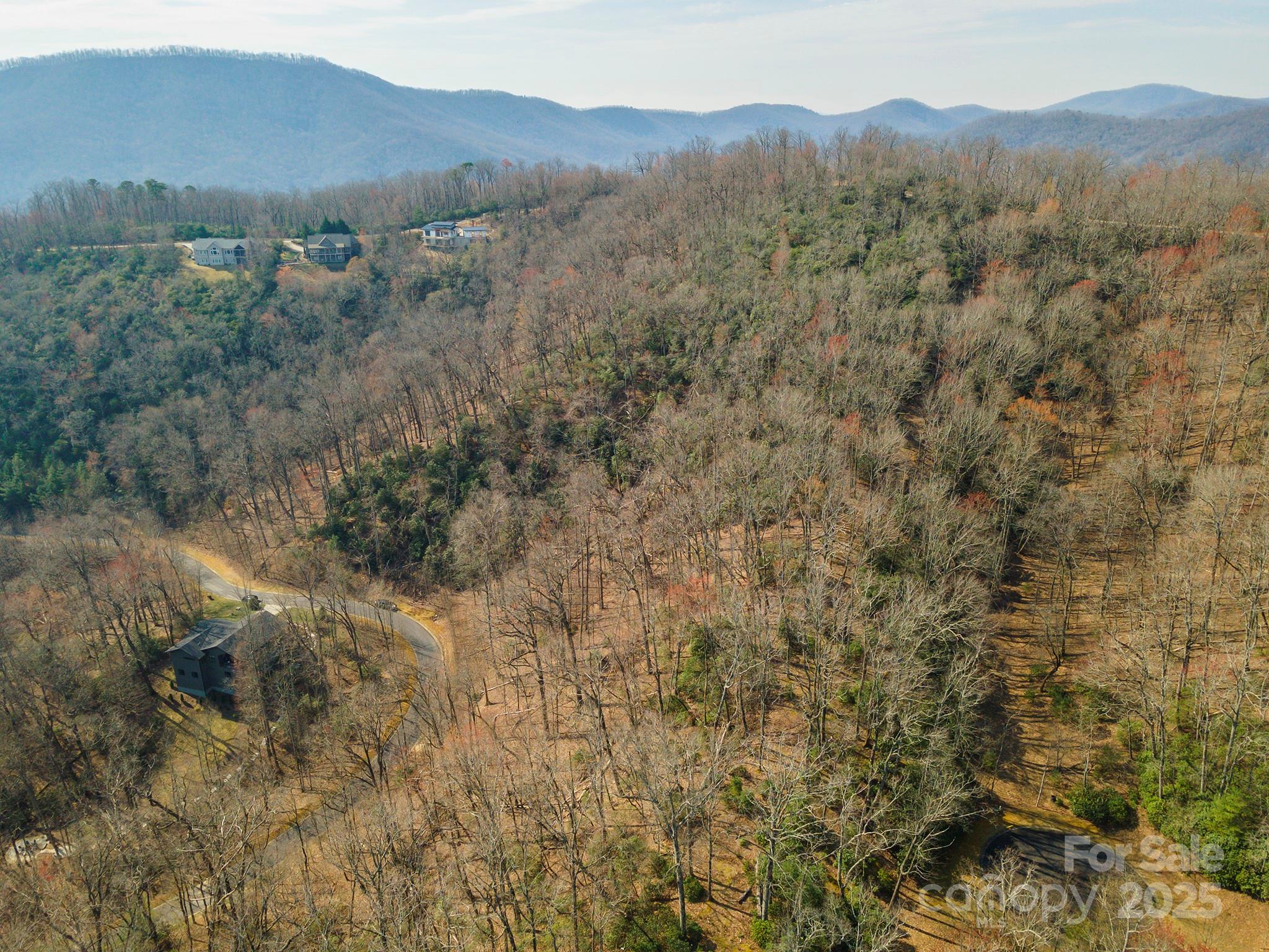 0 Shining Rock Path Horse Shoe NC 28742