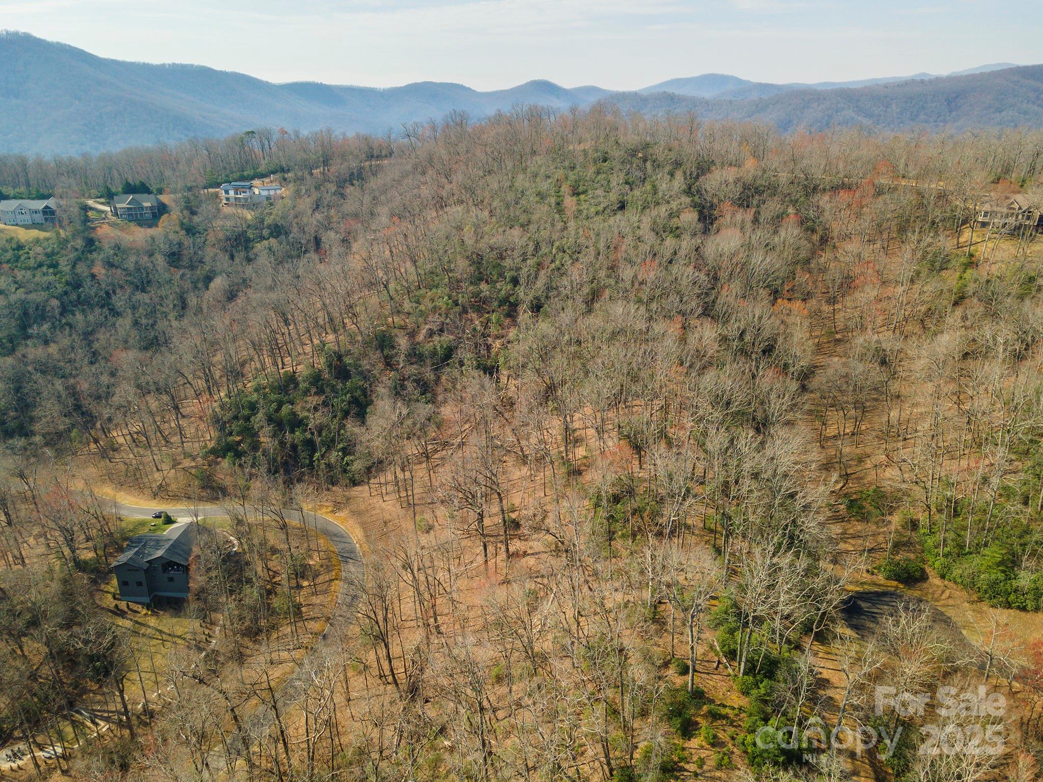 0 Shining Rock Path Horse Shoe NC 28742