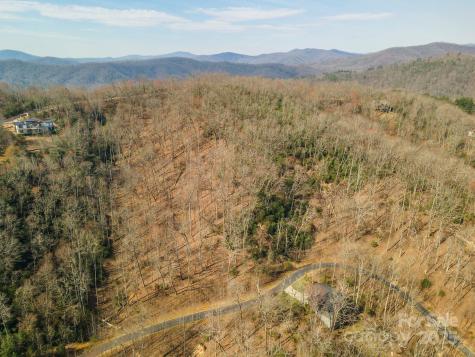 0 Shining Rock Path Horse Shoe NC 28742