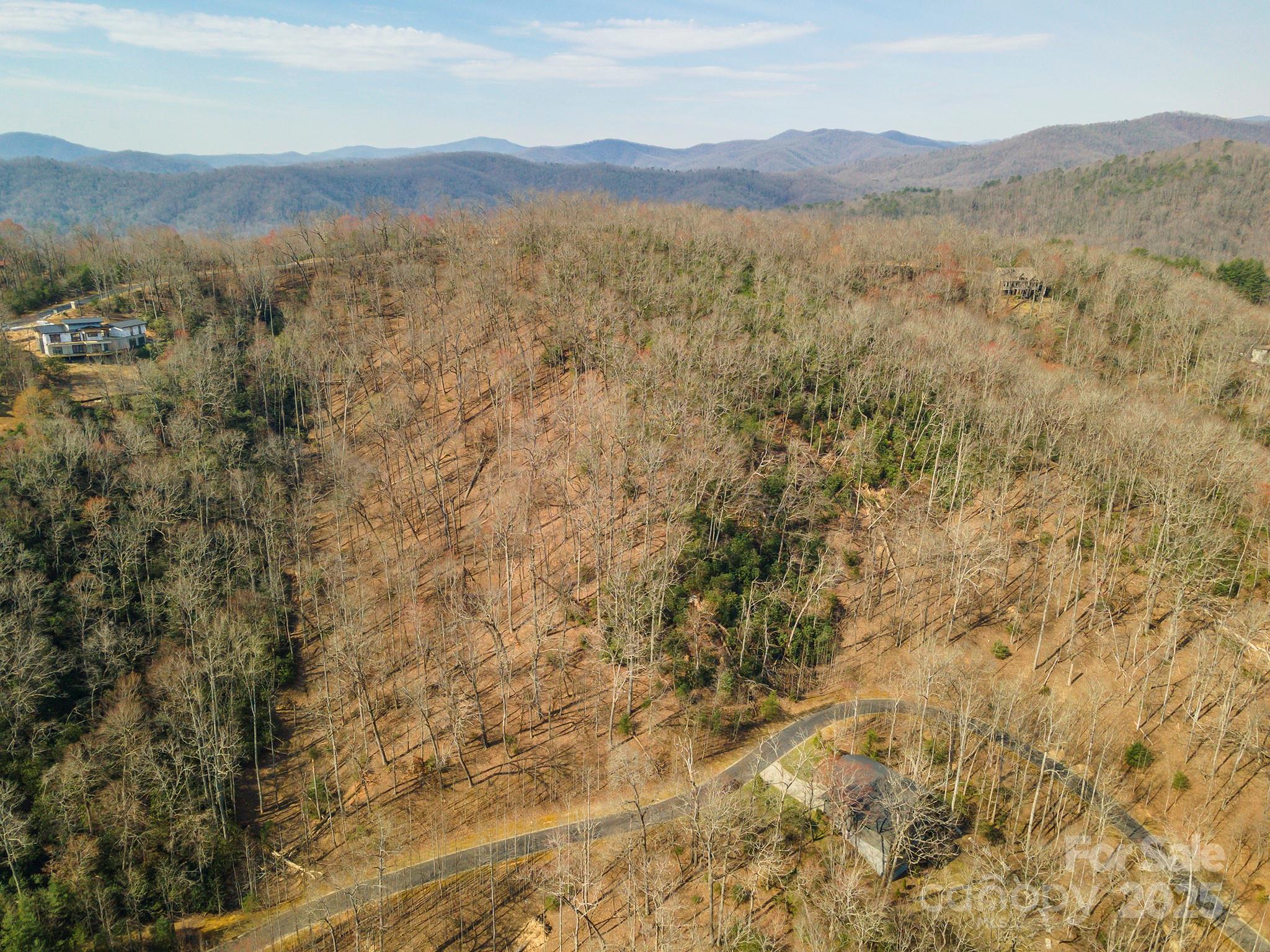0 Shining Rock Path Horse Shoe NC 28742