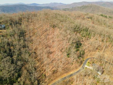 0 Shining Rock Path Horse Shoe NC 28742