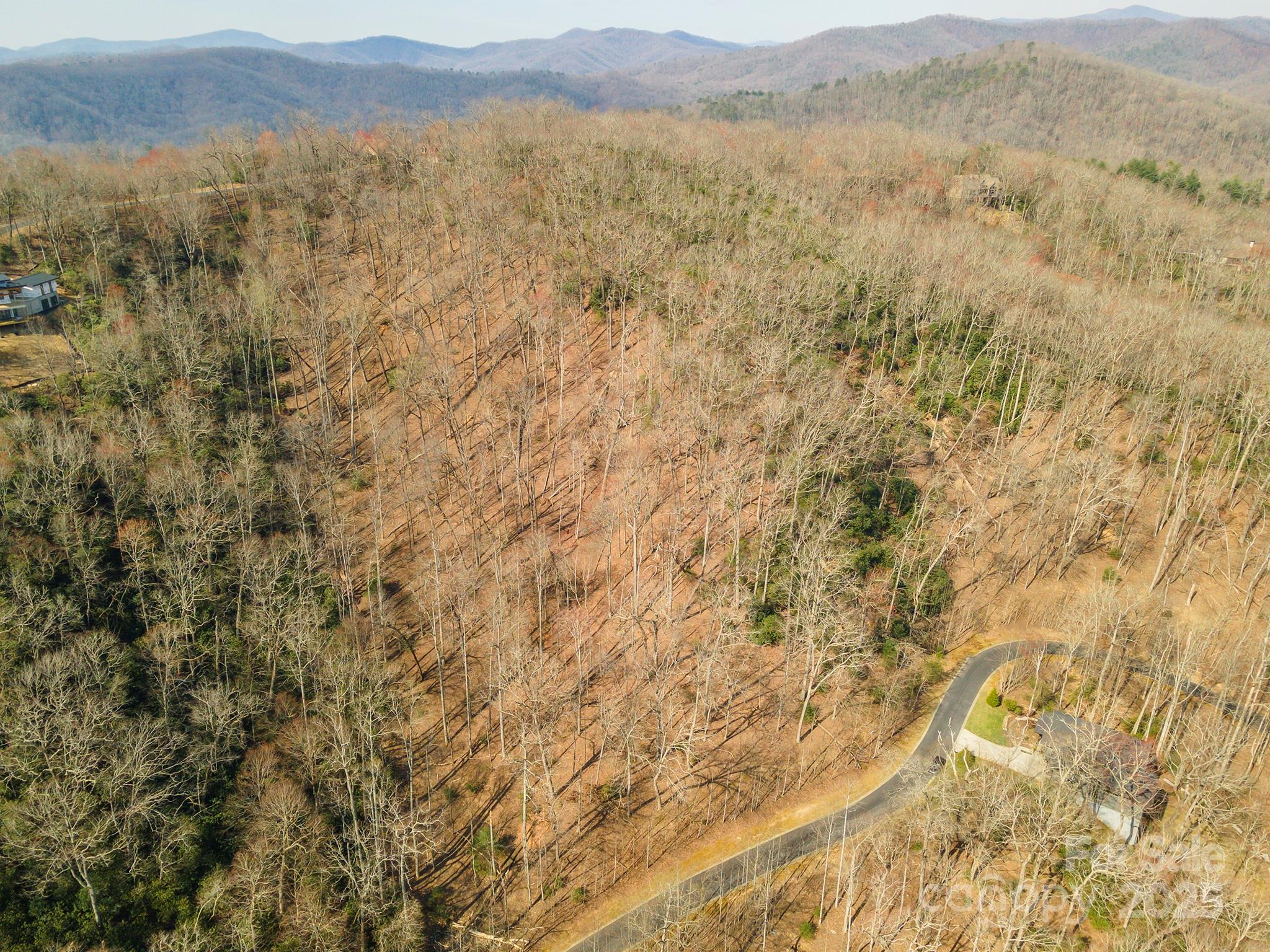 0 Shining Rock Path Horse Shoe NC 28742