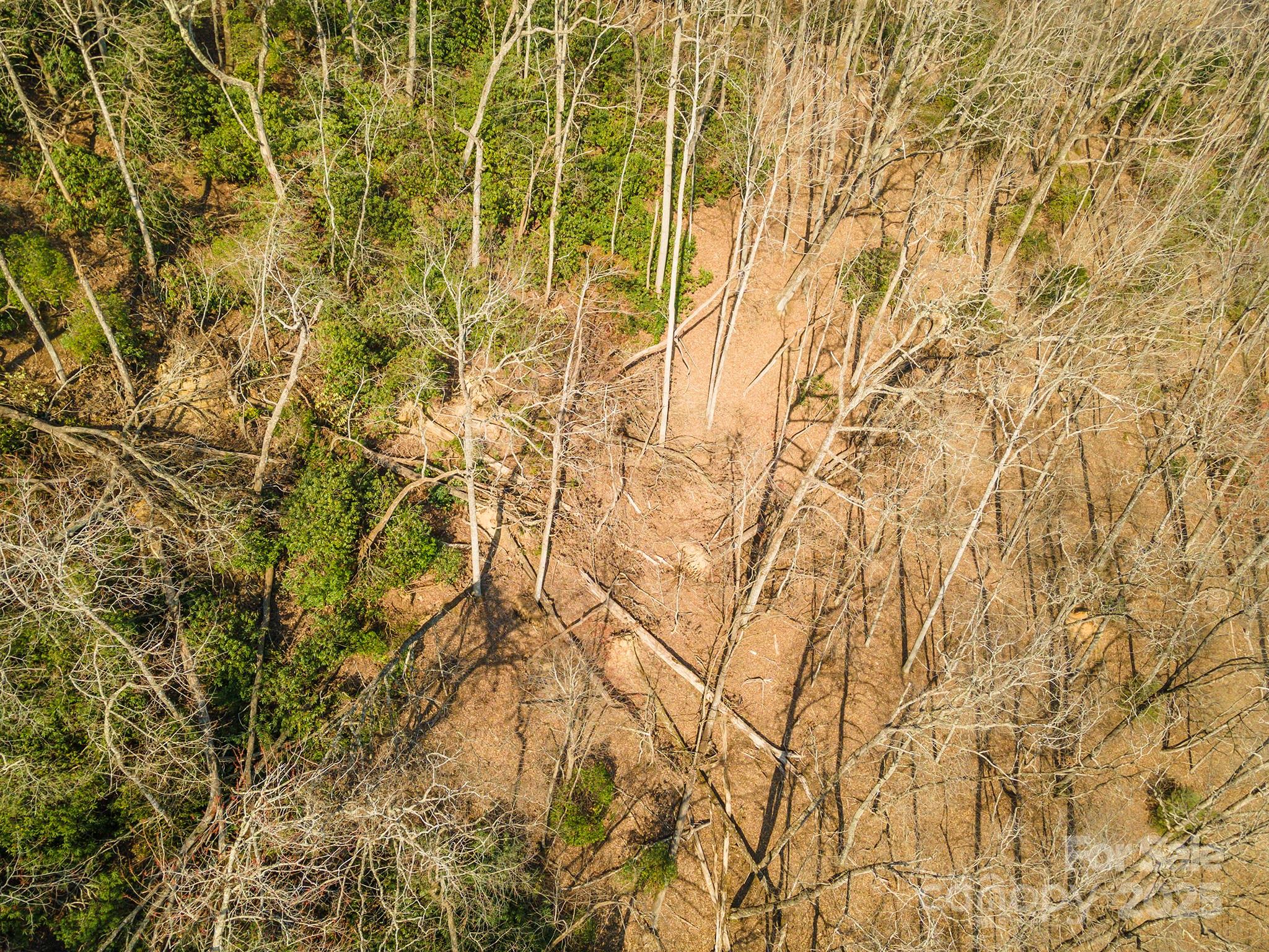0 Shining Rock Path Horse Shoe NC 28742