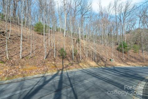 0 Shining Rock Path Horse Shoe NC 28742