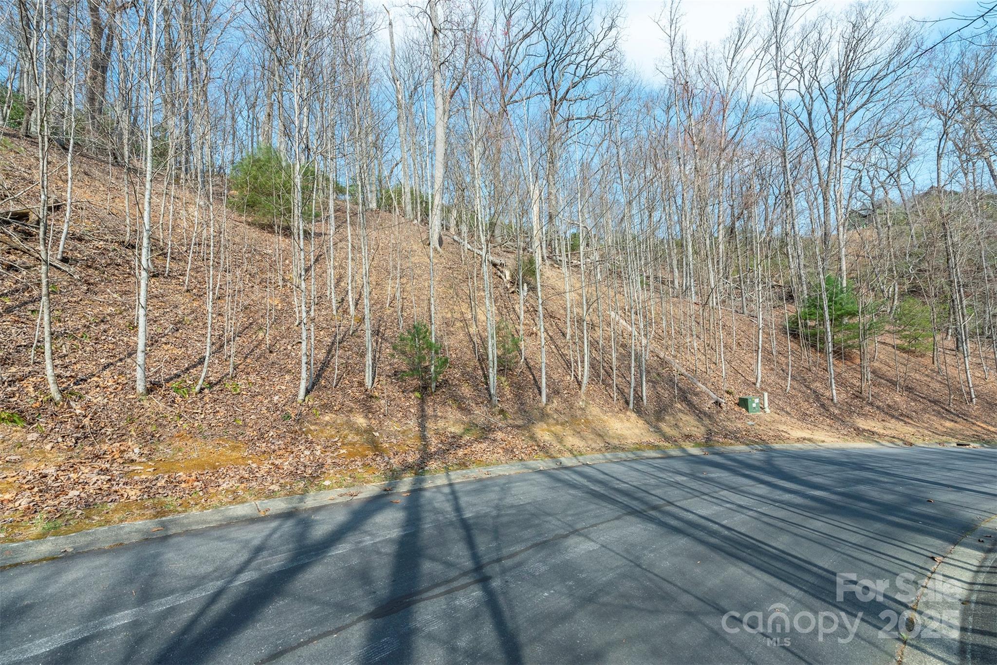 0 Shining Rock Path Horse Shoe NC 28742