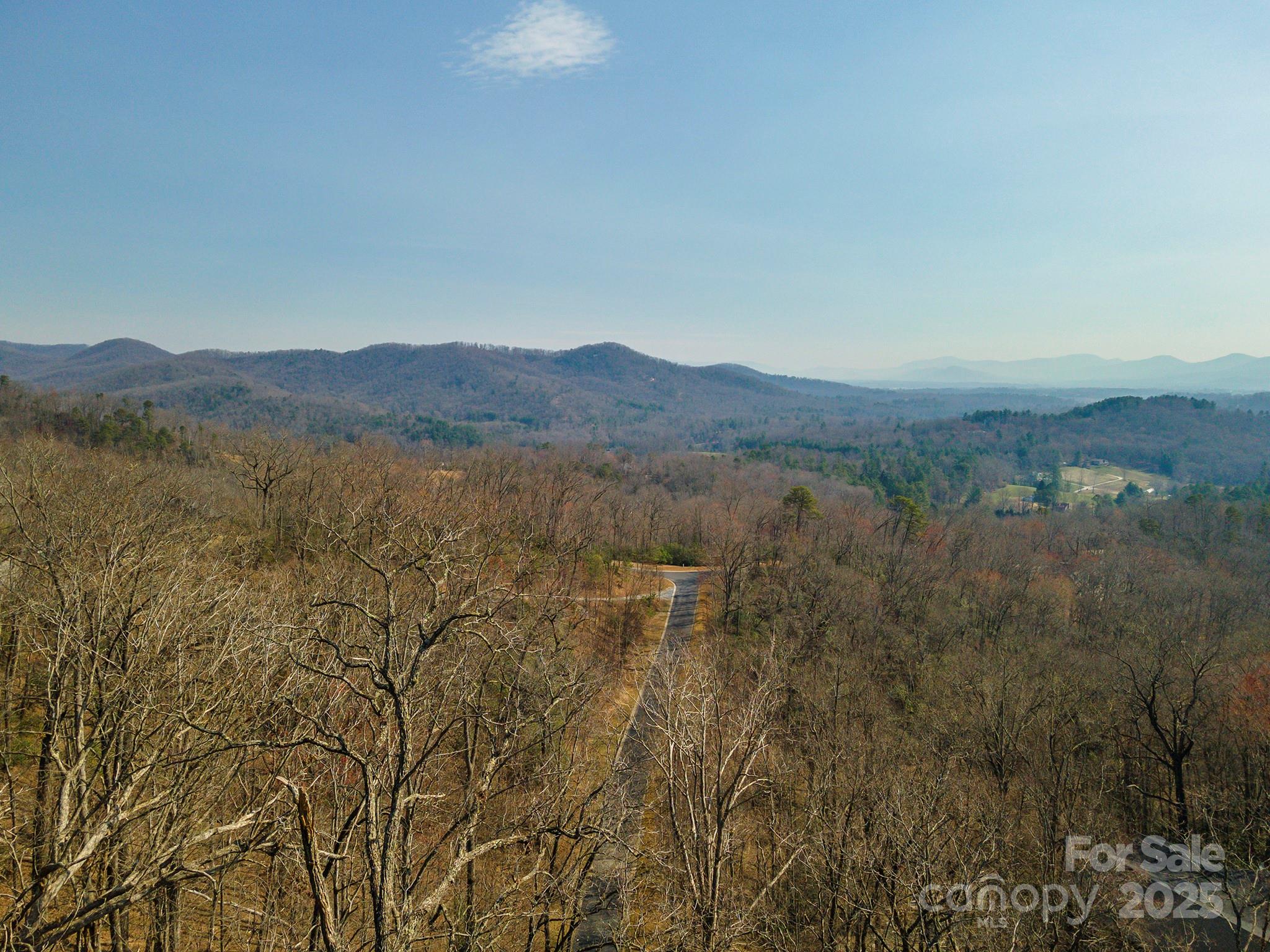 0 Shining Rock Path Horse Shoe NC 28742