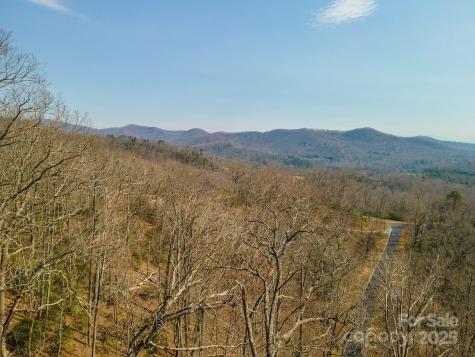 0 Shining Rock Path Horse Shoe NC 28742