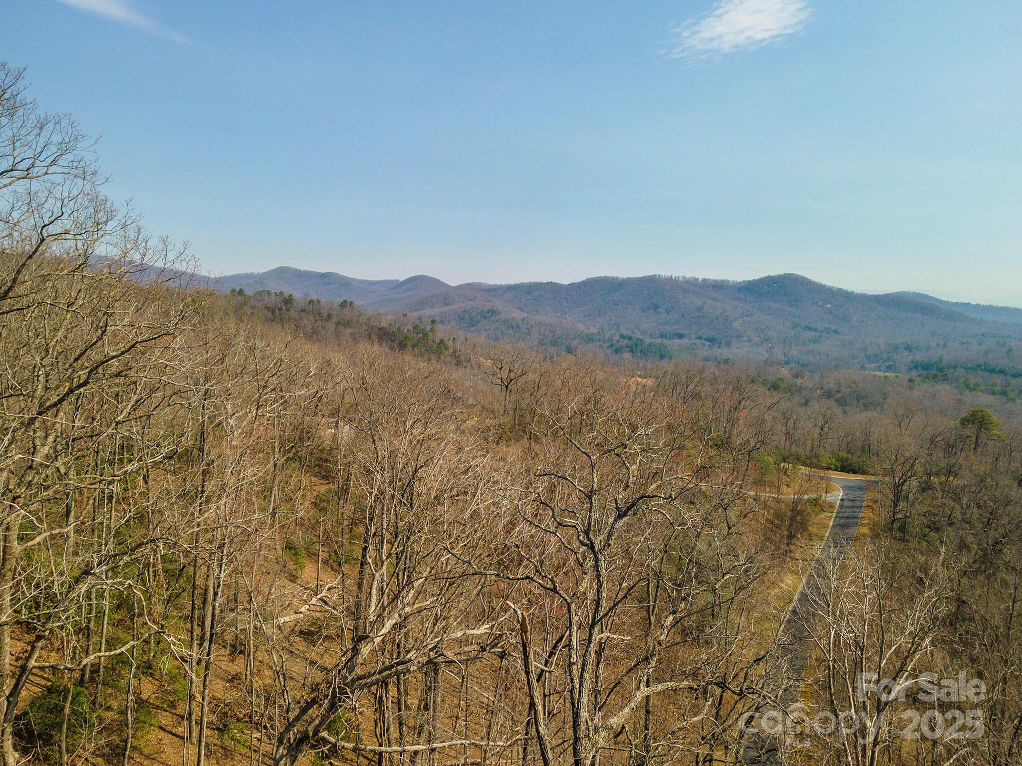 0 Shining Rock Path Horse Shoe NC 28742