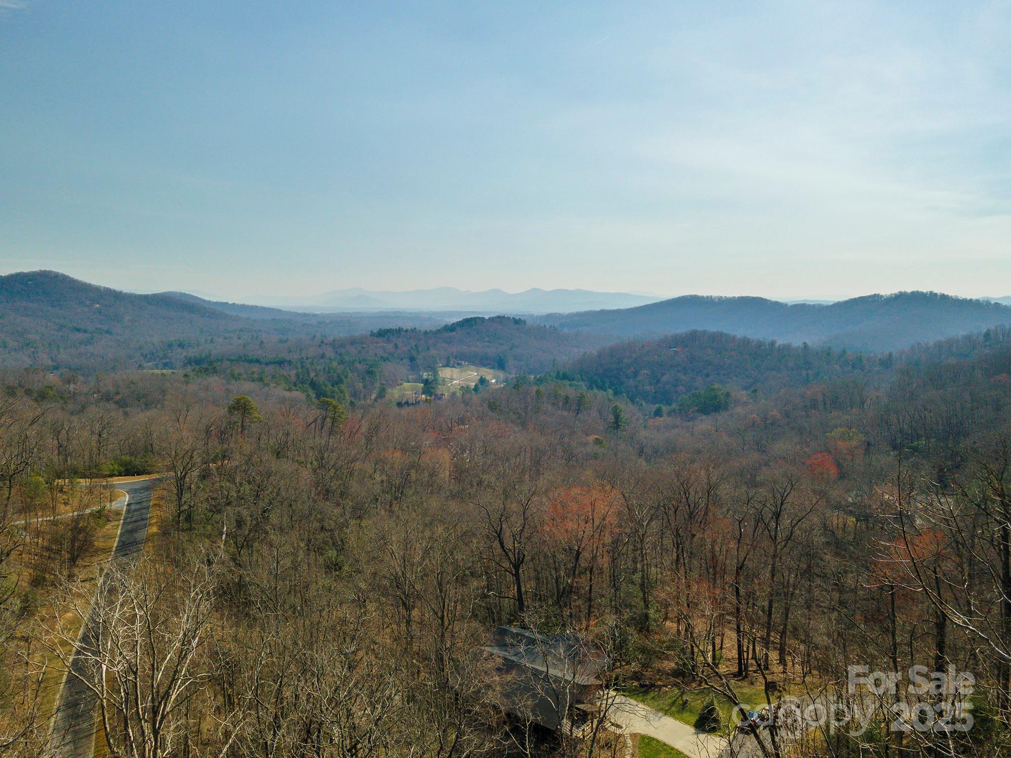 0 Shining Rock Path Horse Shoe NC 28742