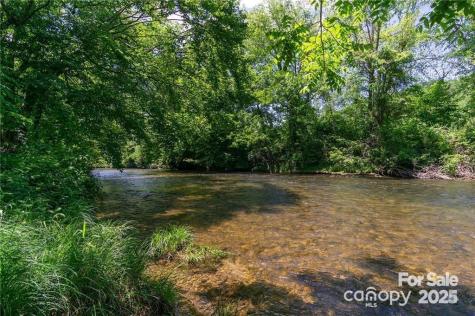 0 Shining Rock Path Horse Shoe NC 28742