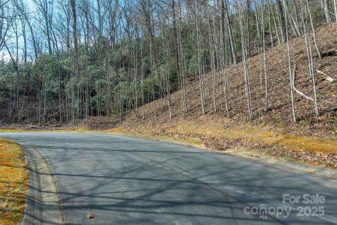 0 Shining Rock Path Horse Shoe NC 28742