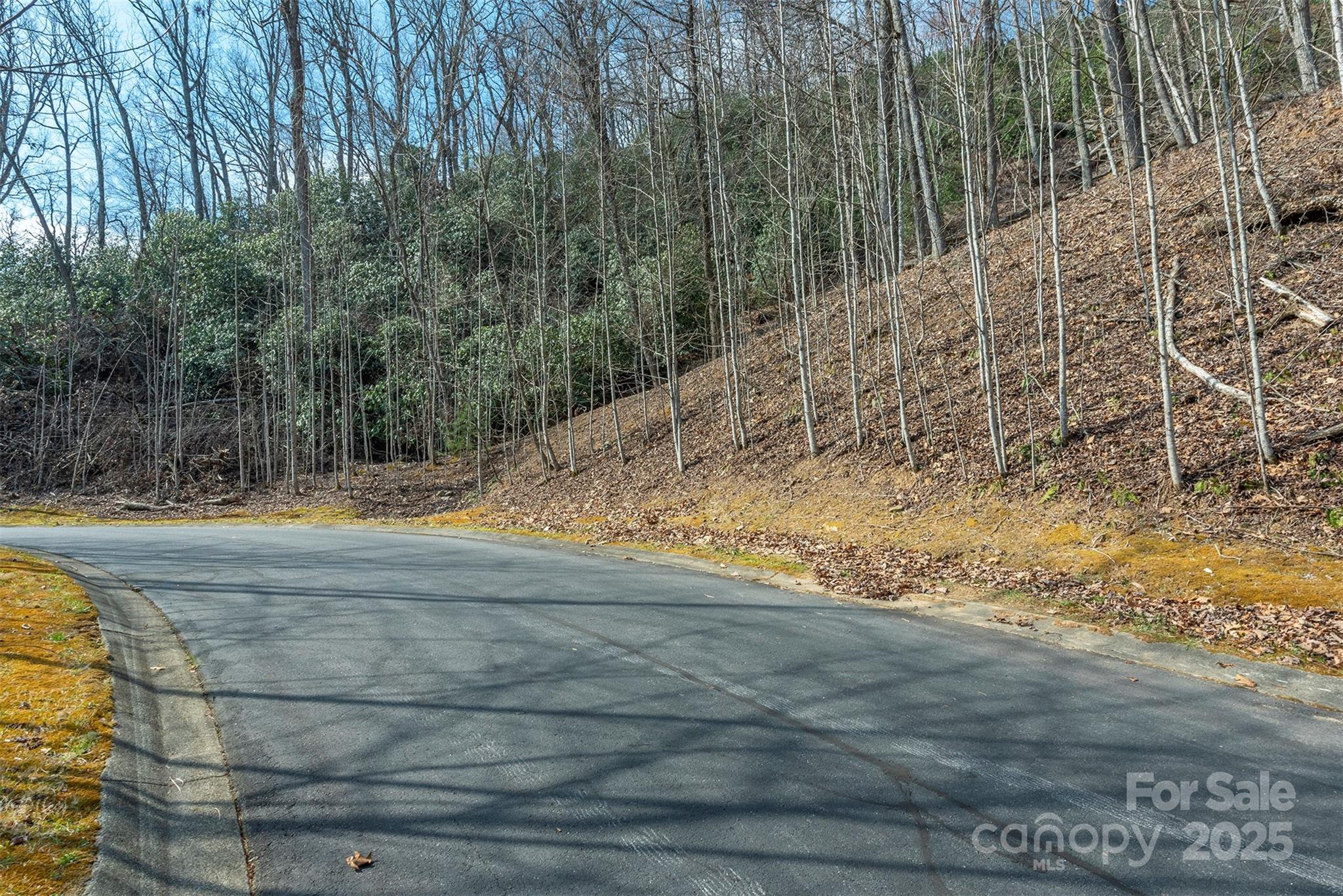 0 Shining Rock Path Horse Shoe NC 28742