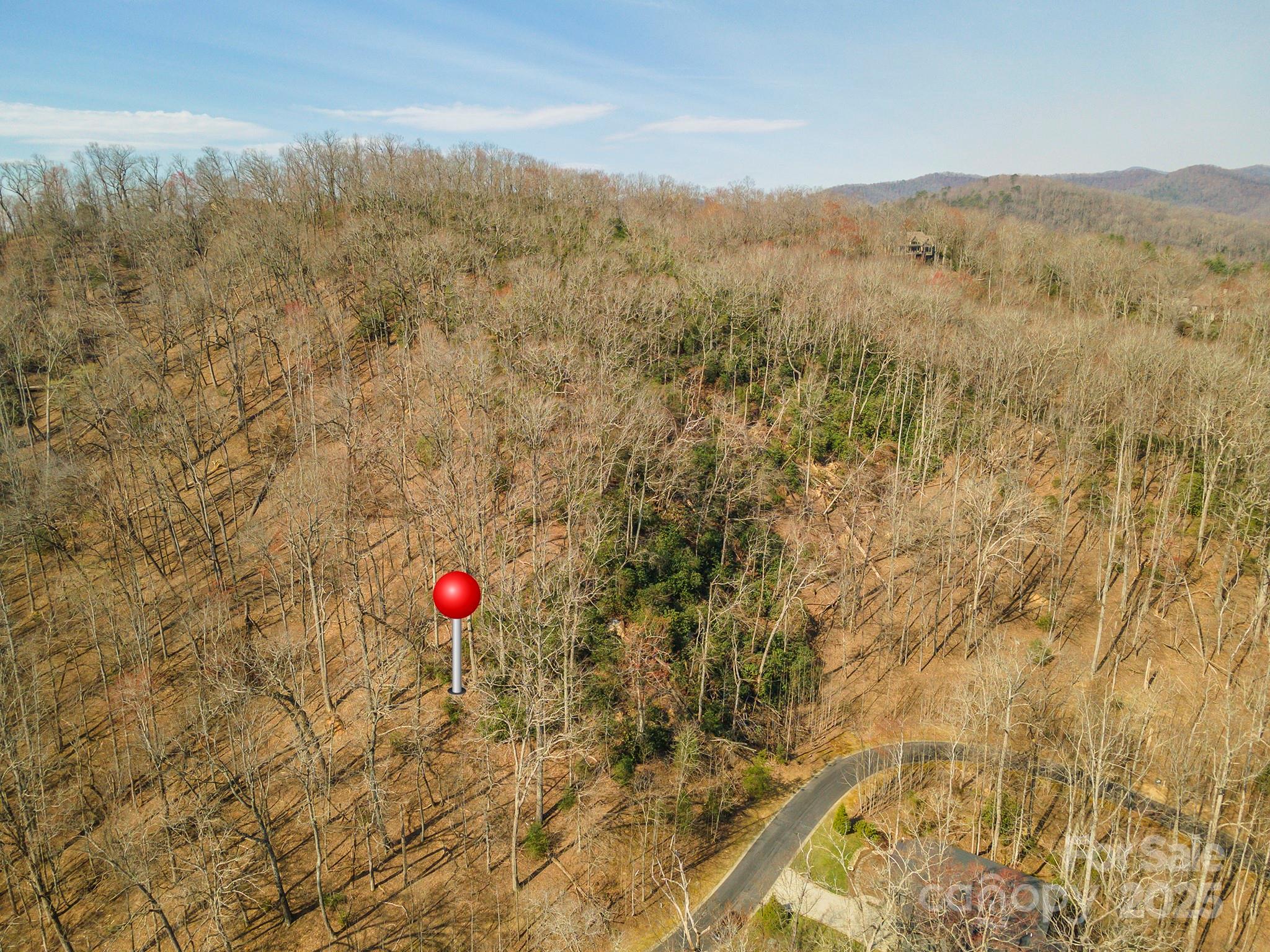 0 Shining Rock Path Horse Shoe NC 28742