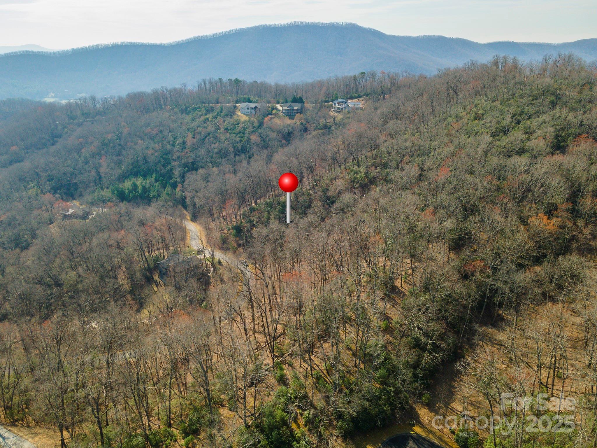 0 Shining Rock Path Horse Shoe NC 28742