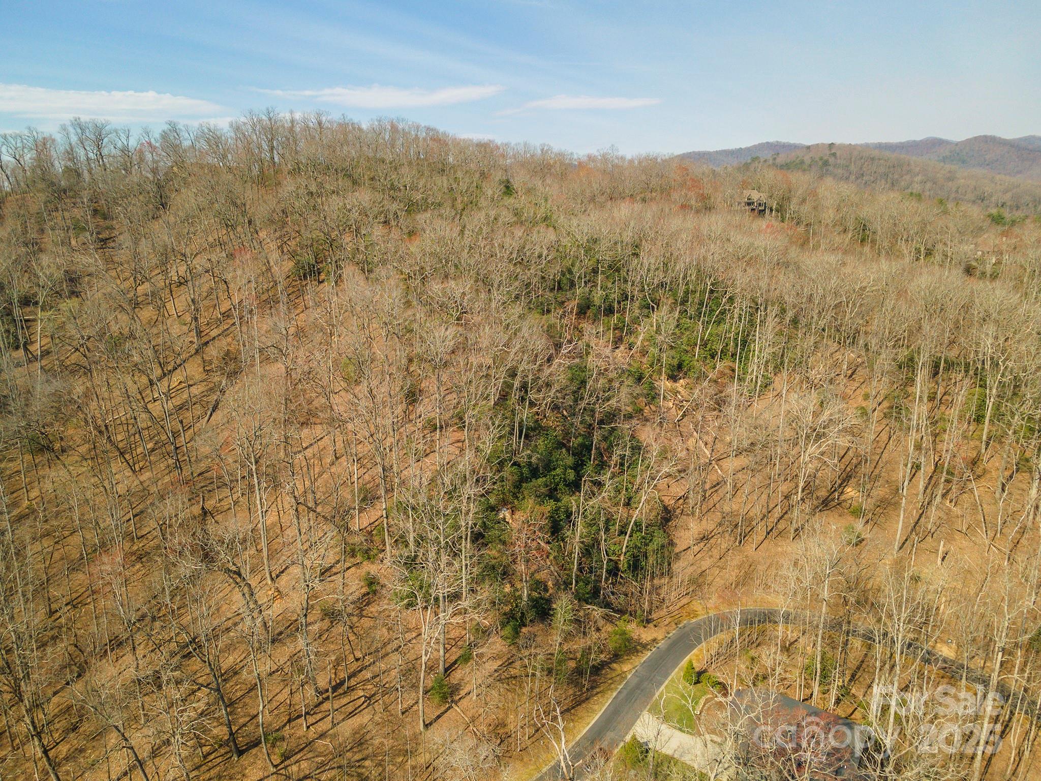 0 Shining Rock Path Horse Shoe NC 28742