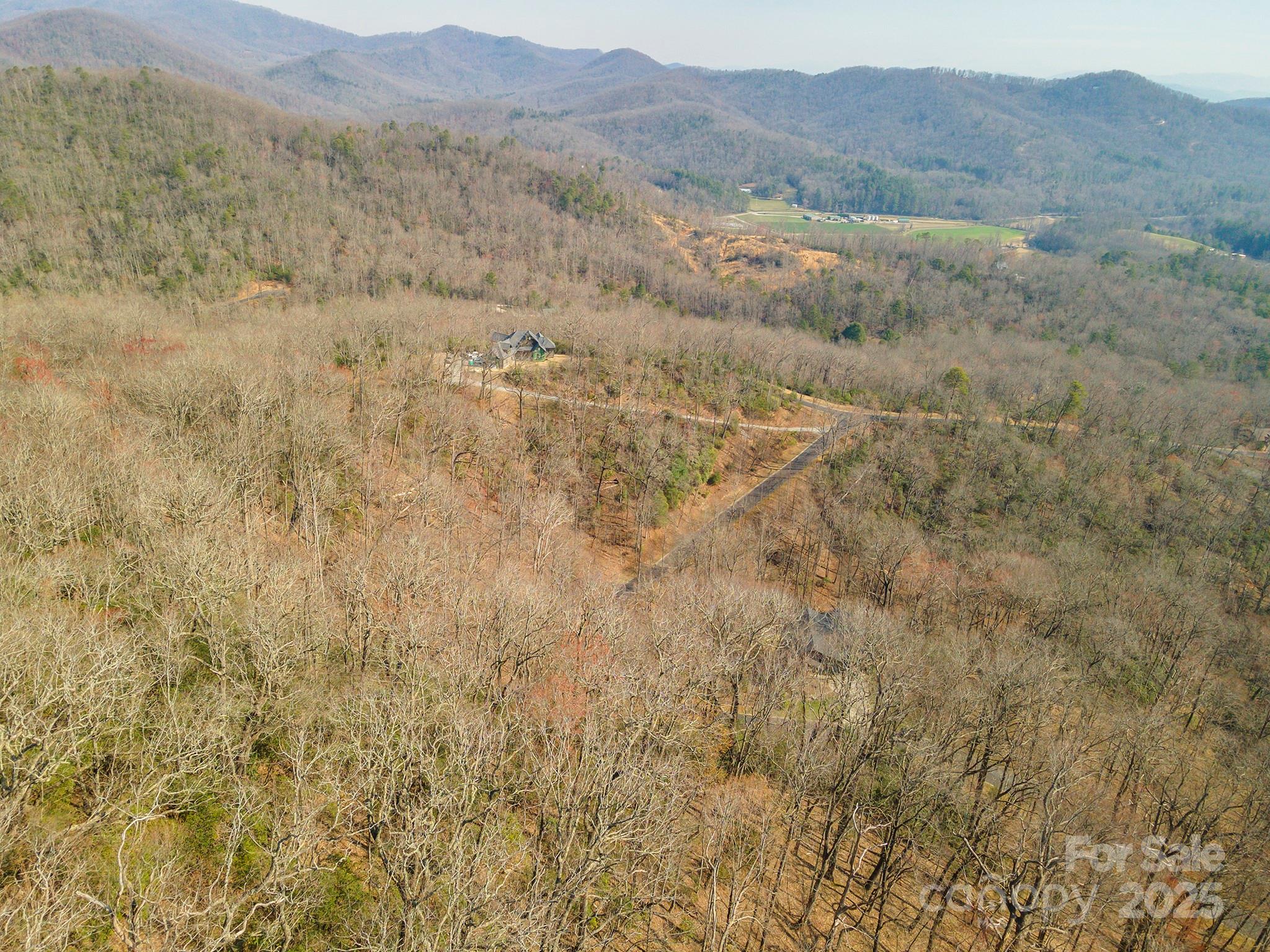 0 Shining Rock Path Horse Shoe NC 28742