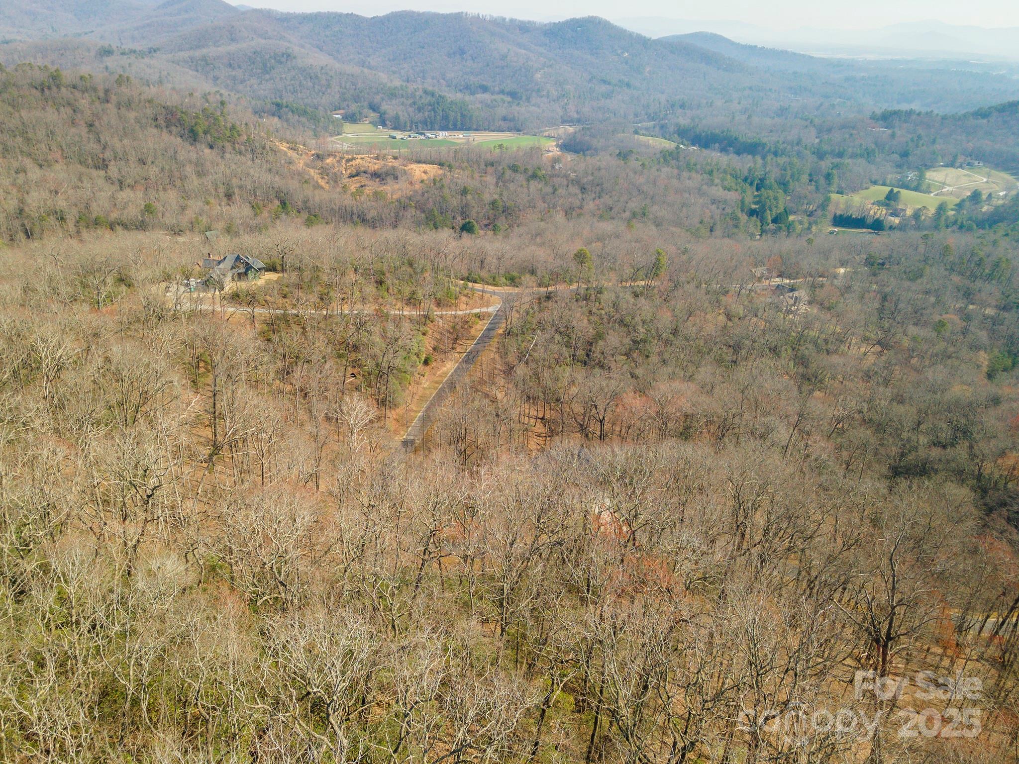 0 Shining Rock Path Horse Shoe NC 28742