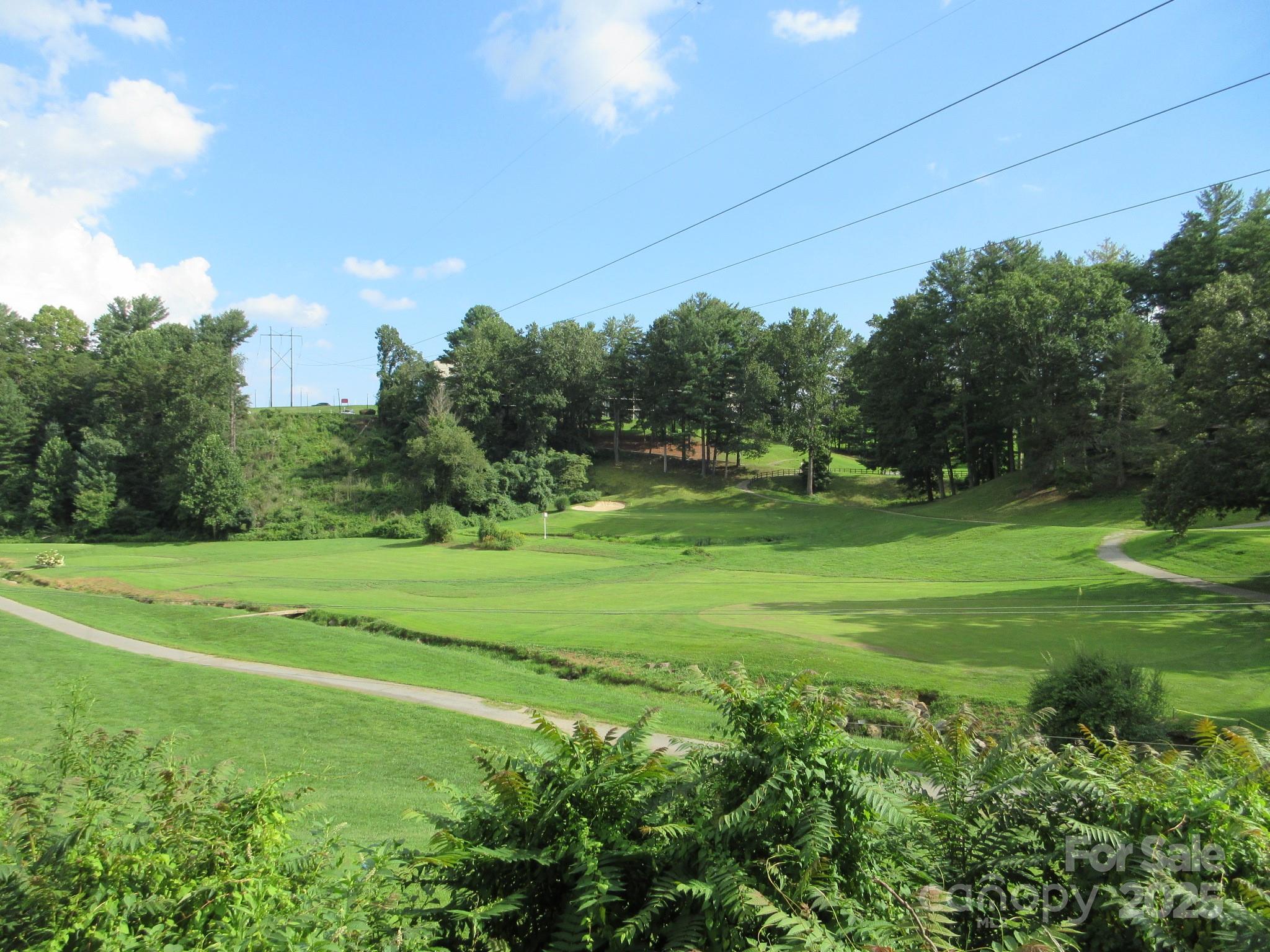 3 N Belgium Lane Asheville NC 28806