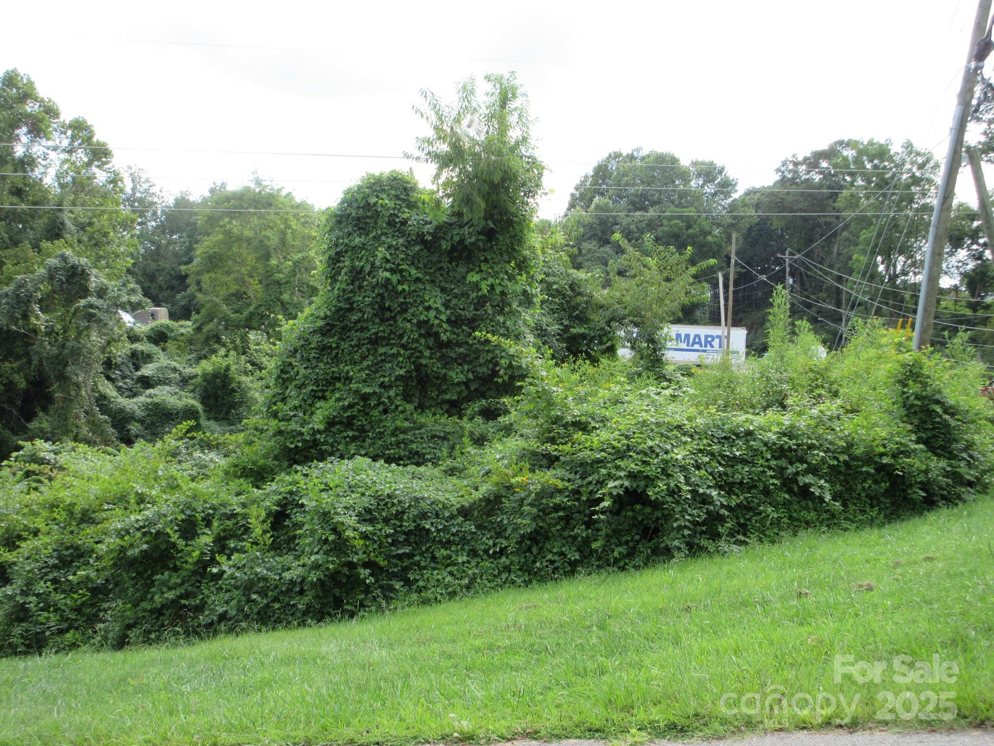 3 N Belgium Lane Asheville NC 28806