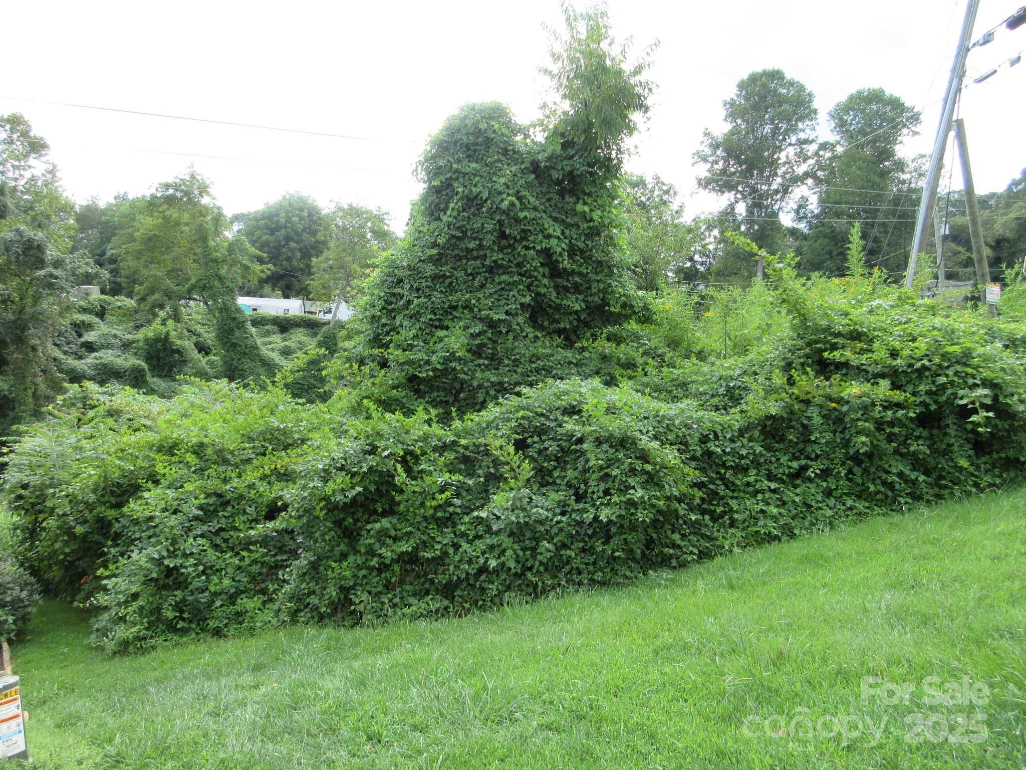 3 N Belgium Lane Asheville NC 28806