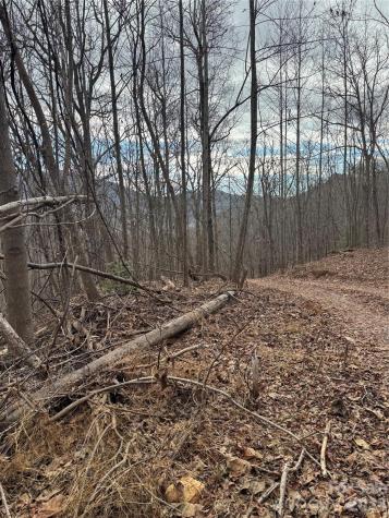 99999 Penland Road Hayesville NC 28904