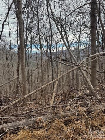 99999 Penland Road Hayesville NC 28904