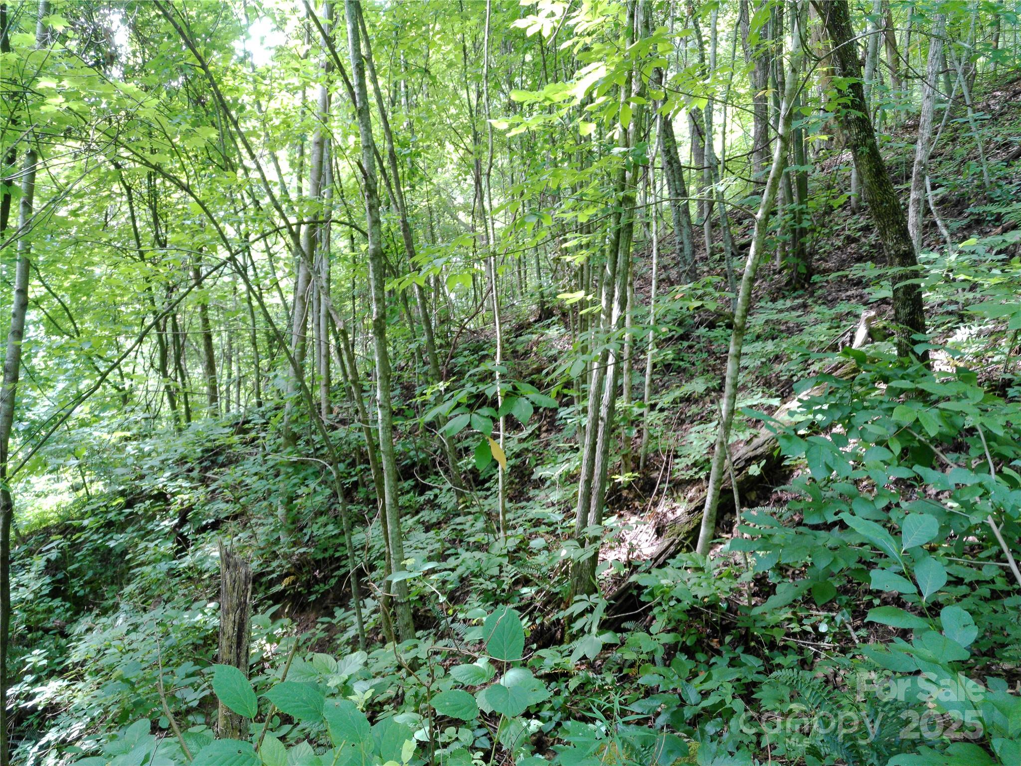 00 Yonah Trail Waynesville NC 28785