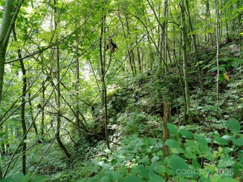 00 Yonah Trail Waynesville NC 28785