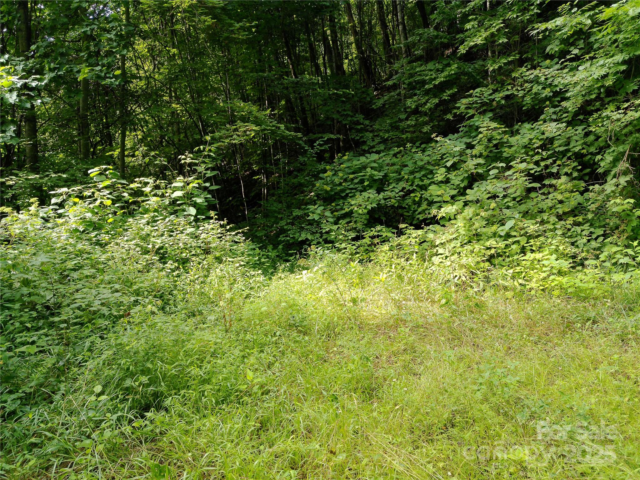 00 Yonah Trail Waynesville NC 28785