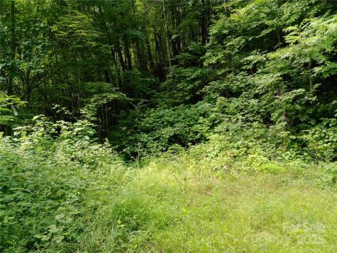 00 Yonah Trail Waynesville NC 28785